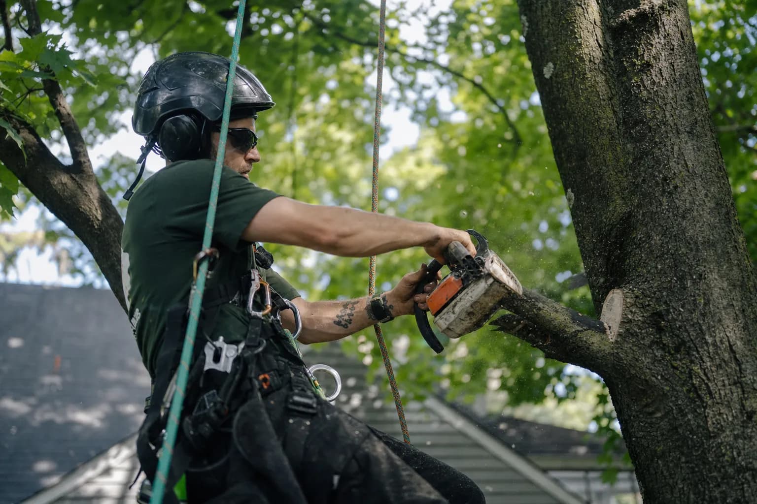 Arborist trimming a tree with a chainsaw while Callbook answers incoming storm-damage calls